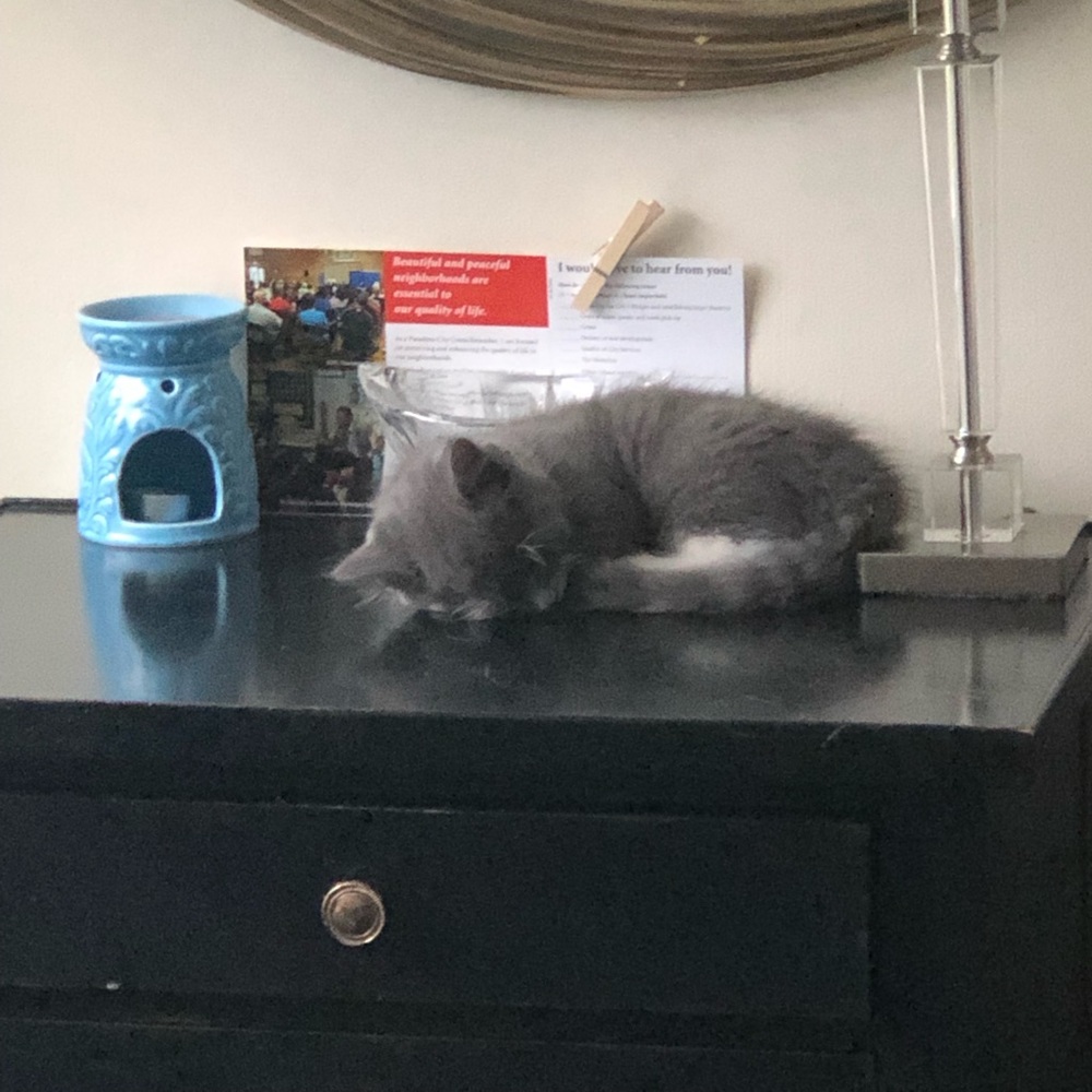 Meet your Posher, Marie